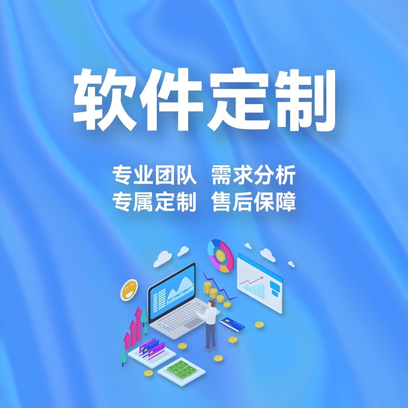 软件定制开发：推动企业数字化转型的秘密武器